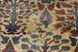 An oriental rug after stain removal